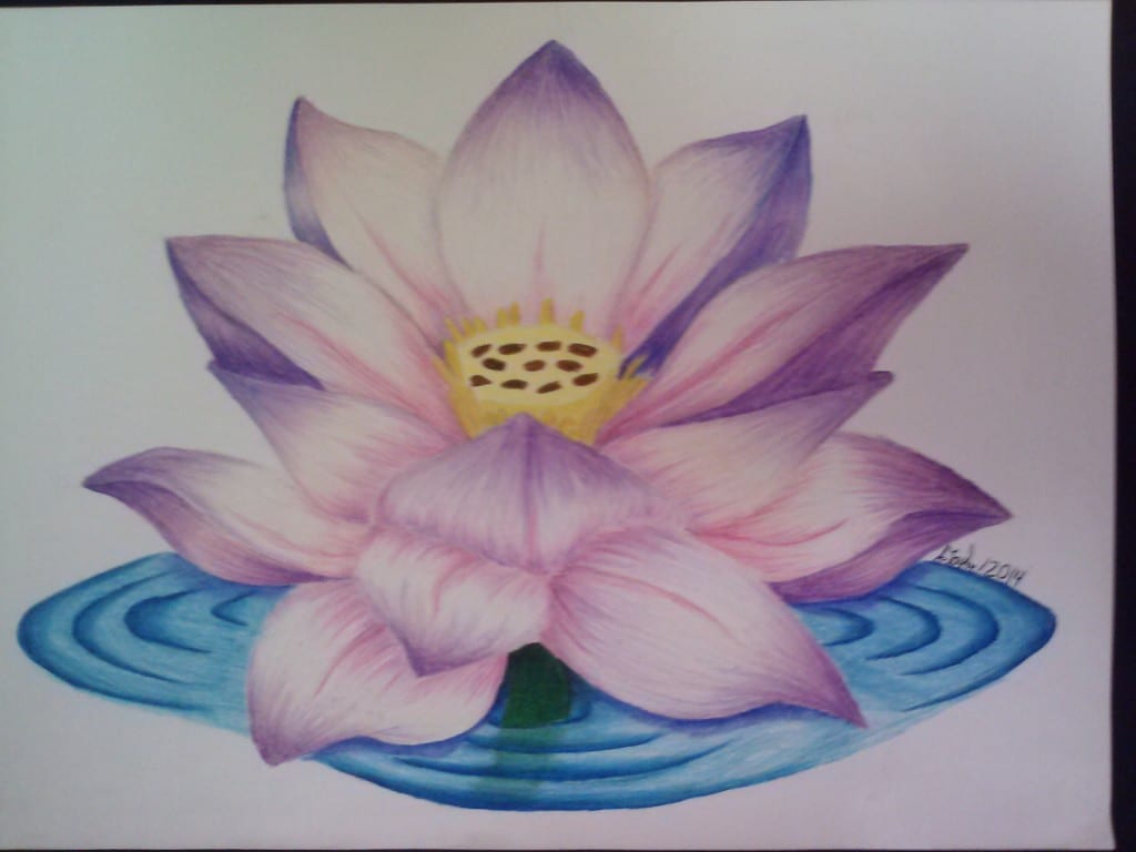 Art by Amanda Taylor - water lilly