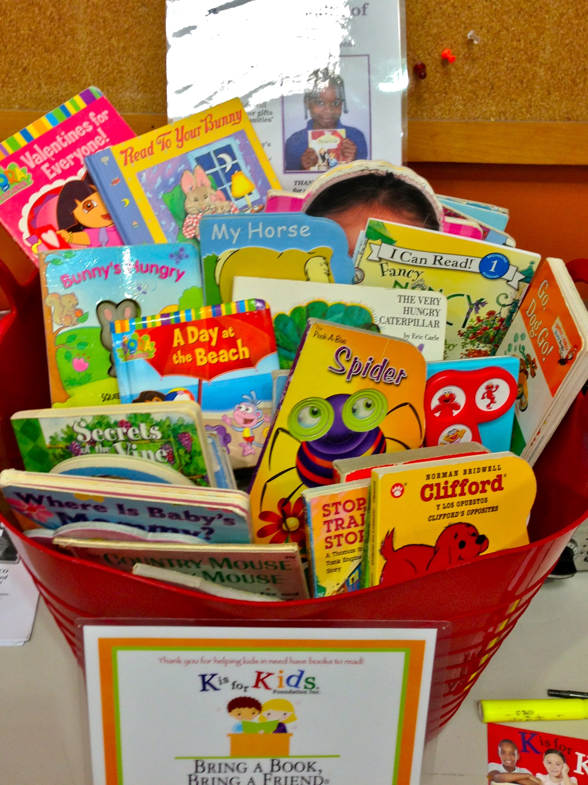 Costco Employee Book Drive Brings in Buckets of Books for Collier